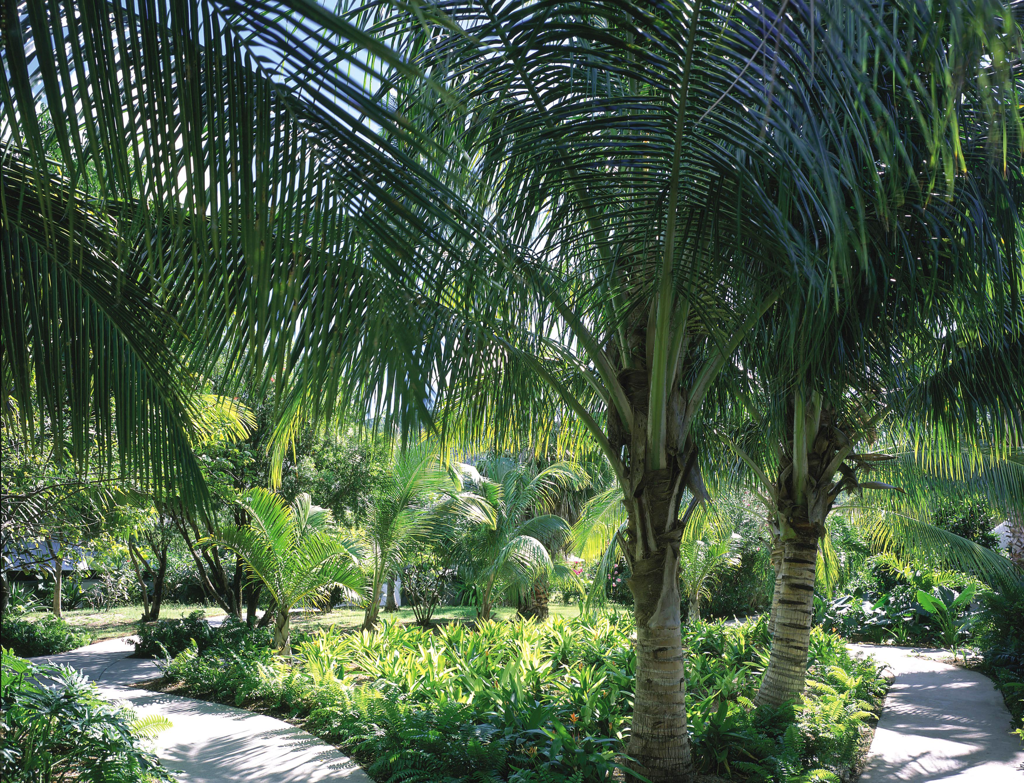 Carlisle Bay Hotel Old Road Ngoại thất bức ảnh
