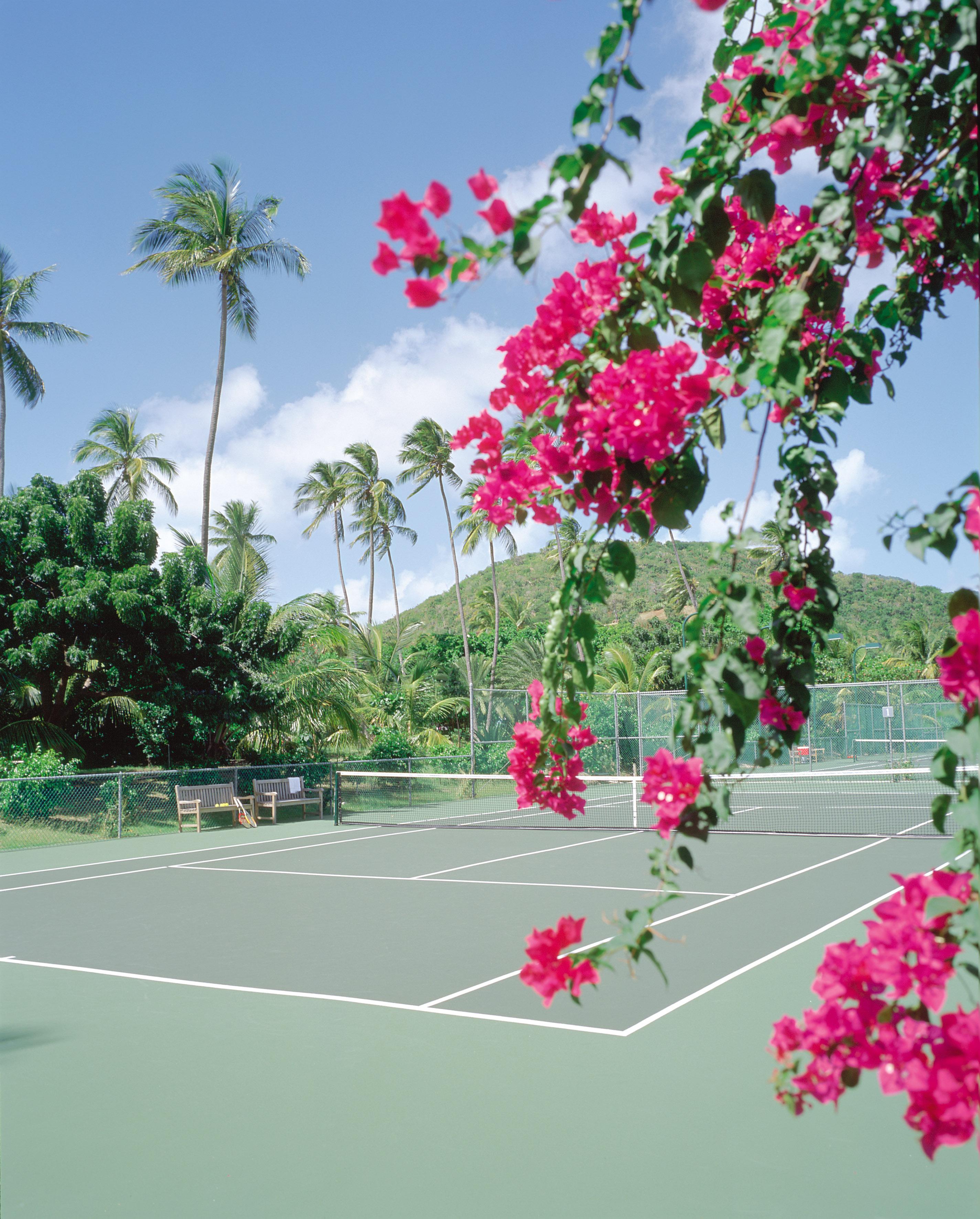 Carlisle Bay Hotel Old Road Tiện nghi bức ảnh